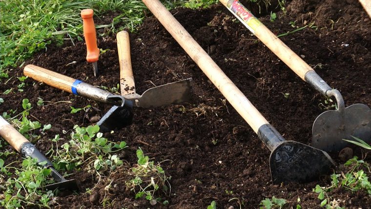 Outils Essentiels Pour Les Jardiniers Débutants – Jardin destiné Outil Jardinage Bino