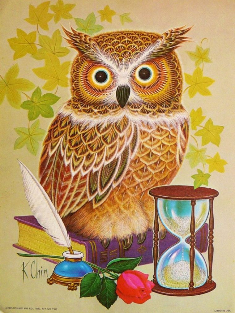 Owl Painting, Owl Art Print, Owl Art avec Dessin Hiboux