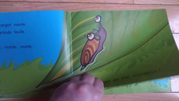 Petit Escargot – concernant Chansons Comptines Maternelle Patapons