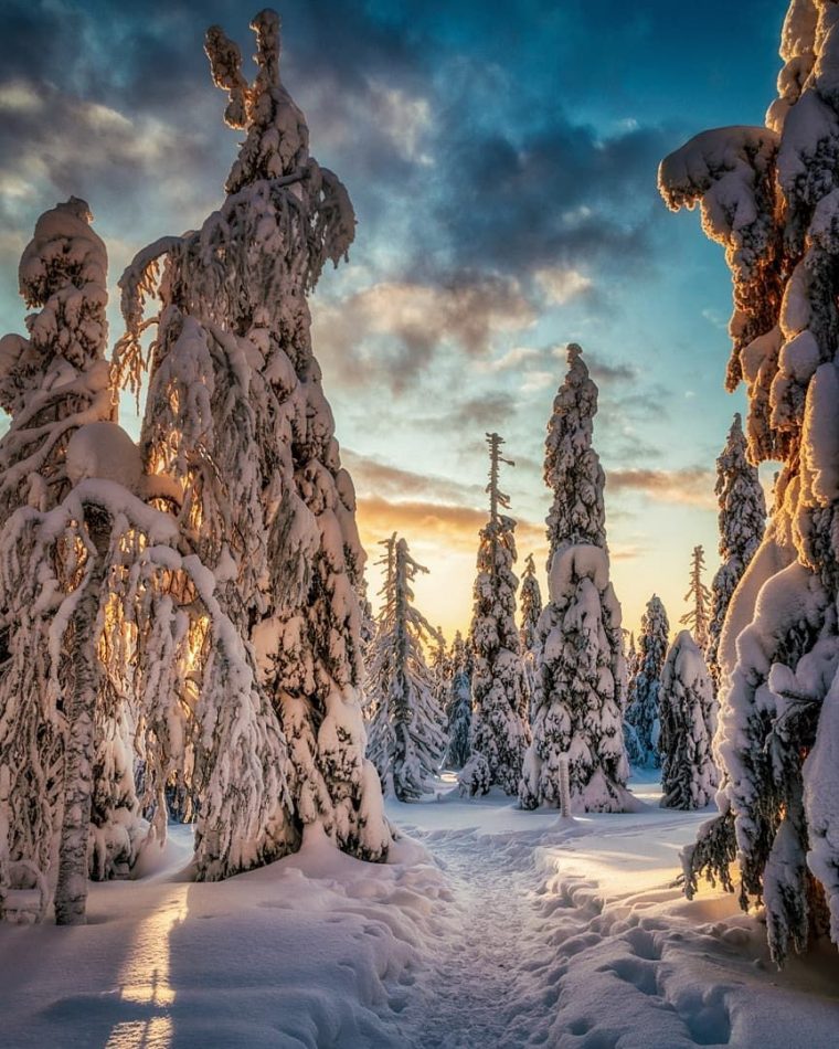Pin On Mon Pays, C'Est L'Hiver! destiné C'Est L'Hiver Ppt Pin On Mon Pays, C'Est L'Hiver! destiné C'Est L'Hiver Ppt