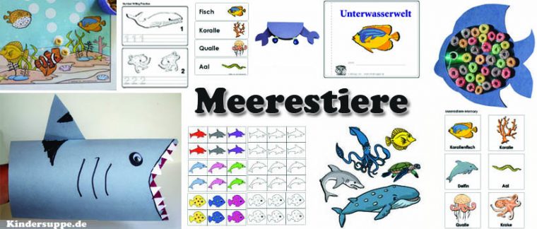 Projekt Meer Und Meerestiere Kindergarten Und Kita-Ideen tout Kindersuppe Abo
