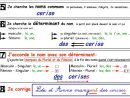 Q) Orthographe : Fiches Et Aides-Mémoire. - | Orthographe concernant Amtou Math