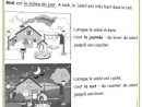 Questionner Le Monde Cp dedans Lutin Bazar Evaluation Poesie