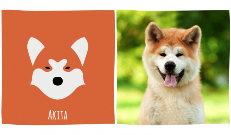 Reconnaîtrez-Vous Les Races De Chien Sur Ces Dessins à Dessin Labrador Beige