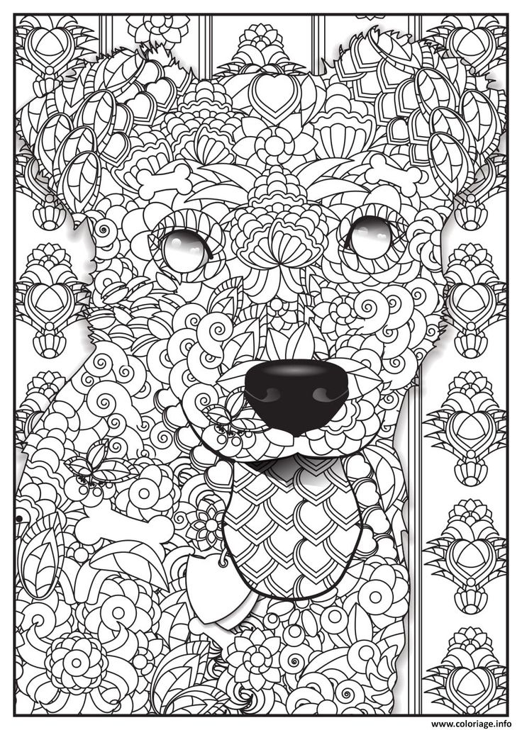 Resultado De Imagen De Coloriage Numéroté Animaux à Coloriage Par Numero Resultado De Imagen De Coloriage Numéroté Animaux à Coloriage Par Numero