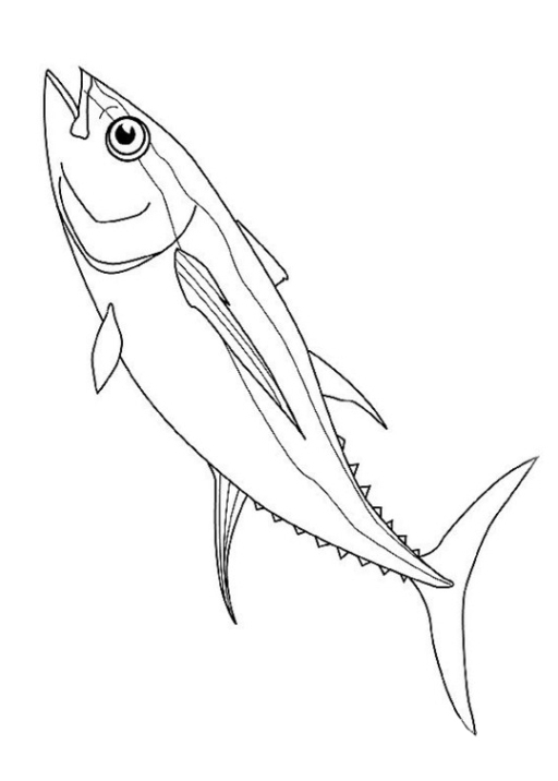 Schöne Ausmalbilder Malvorlagen Fische Ausdrucken 3 concernant Ausmalbilder Fische Kostenlos Ausdrucken