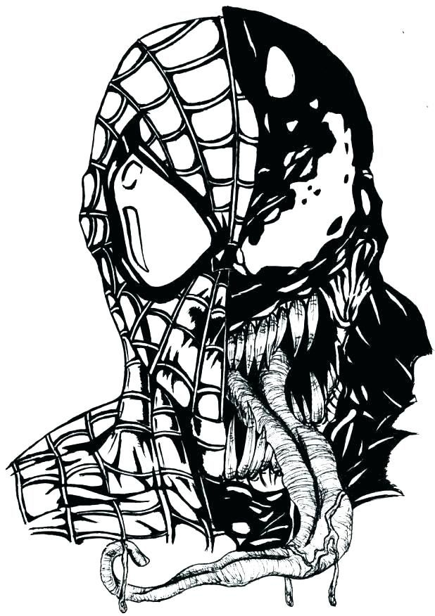 Spiderman And Venom Coloring Pages  | Spiderman Drawing à Spiderman Noir Coloring