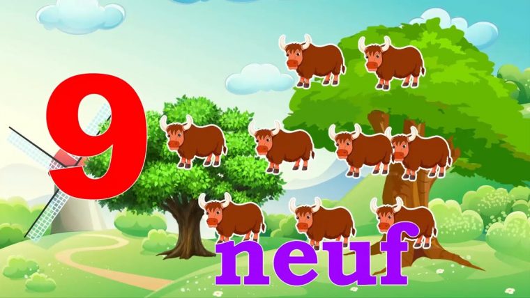 Titounis Decouverte – Greatestcoloringbook concernant Le Francais Avec Titounis