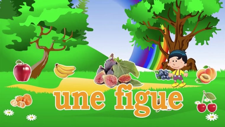 Titounis Decouverte – Greatestcoloringbook destiné Le Francais Avec Titounis