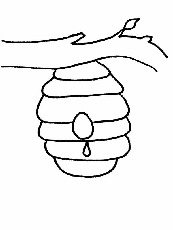 Wild Bee Beehive Coloring Page – Netart | Bee Coloring destiné Coloring Bee Smiling