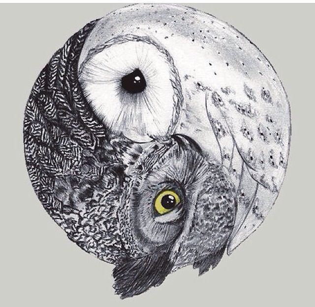 Yin And Yang ️ | Hibou Dessin, Uage Hiboux, Chouette pour Dessin Hiboux