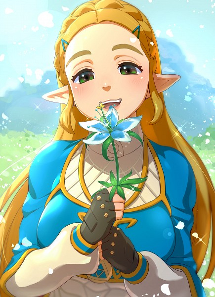 Zelda (Breath Of The Wild) – Zelda No Densetsu: Breath Of avec Coloriage A Imprimer Zelda Breath Of The Wild