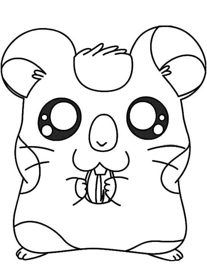 hamster coloring page hamster coloring page