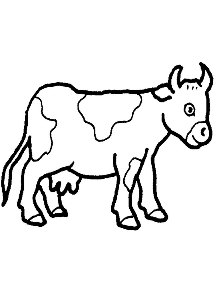 cow color page