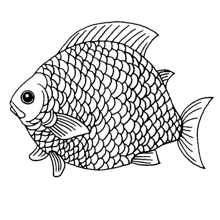 10 Beste Ausmalbilder Fische Zum Ausdrucken – Ausmalbilder Für Kinder intérieur Ausmalbilder Aquarium Kostenlos