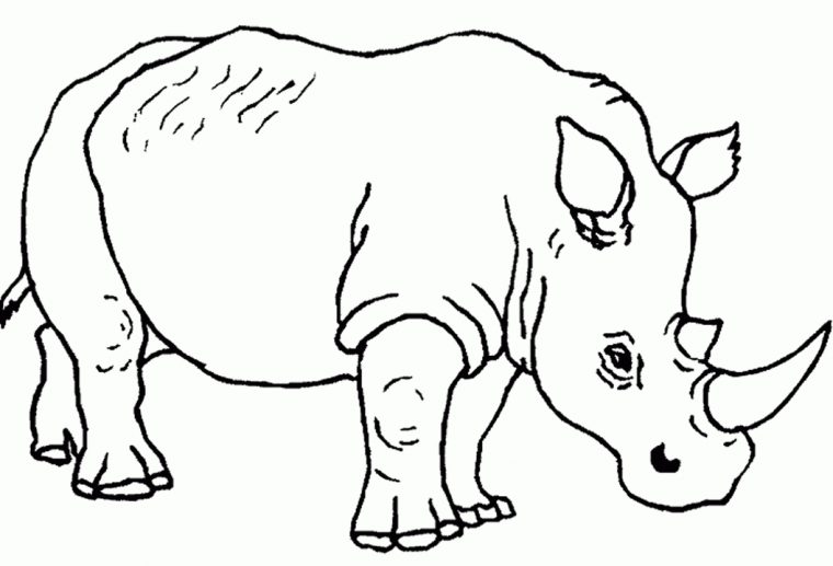 118 Dessins De Coloriage Rhinocéros À Imprimer dedans Coloriage Animaux Ère Glaciaire