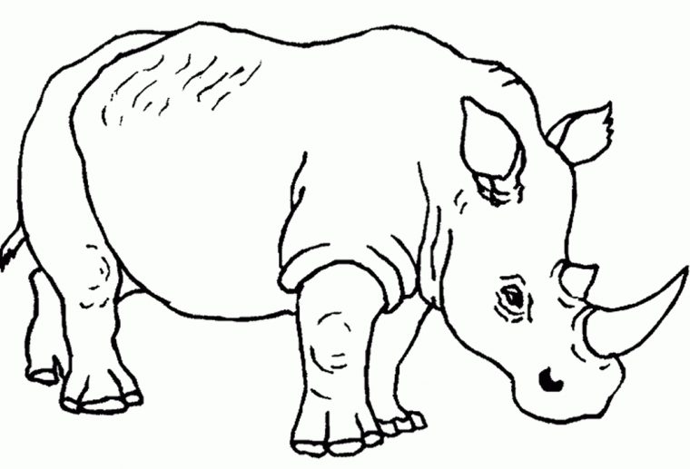 118 Dessins De Coloriage Rhinocéros À Imprimer dedans Coloriage Animaux Ère Glaciaire 118 Dessins De Coloriage Rhinocéros À Imprimer dedans Coloriage Animaux Ère Glaciaire