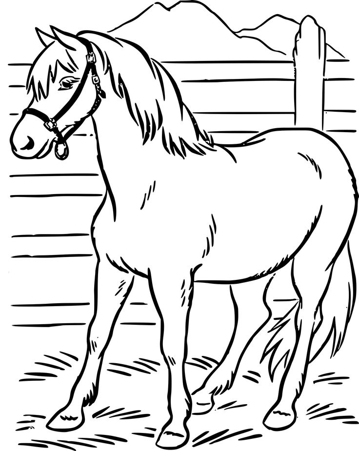 13 Beau De Dessin Facile Cheval Galerie | Coloriage Cheval À Imprimer serapportantà Dessin A Colorier Facile 13 Beau De Dessin Facile Cheval Galerie | Coloriage Cheval À Imprimer serapportantà Dessin A Colorier Facile