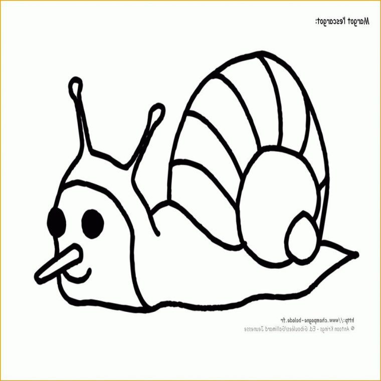 13 Cool De Hugo L'Escargot Pokemon Collection | Coloriage Pokemon dedans Hugo L'Escargot Diplome A Imprimer 13 Cool De Hugo L'Escargot Pokemon Collection | Coloriage Pokemon dedans Hugo L'Escargot Diplome A Imprimer