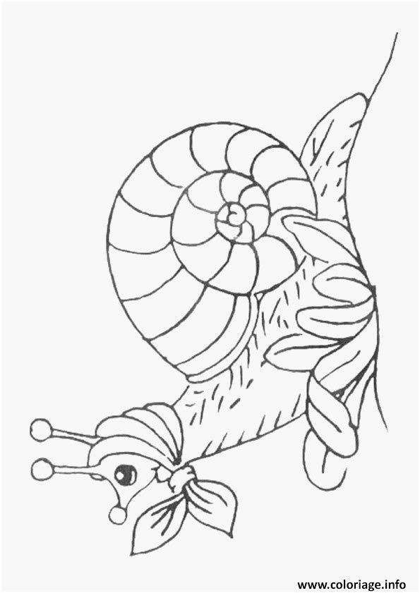 14 Fabuleux Coloriage Hugo L Escargot Photograph | Coloriage Renard dedans Hugo L'Escargot Bricolage Paques