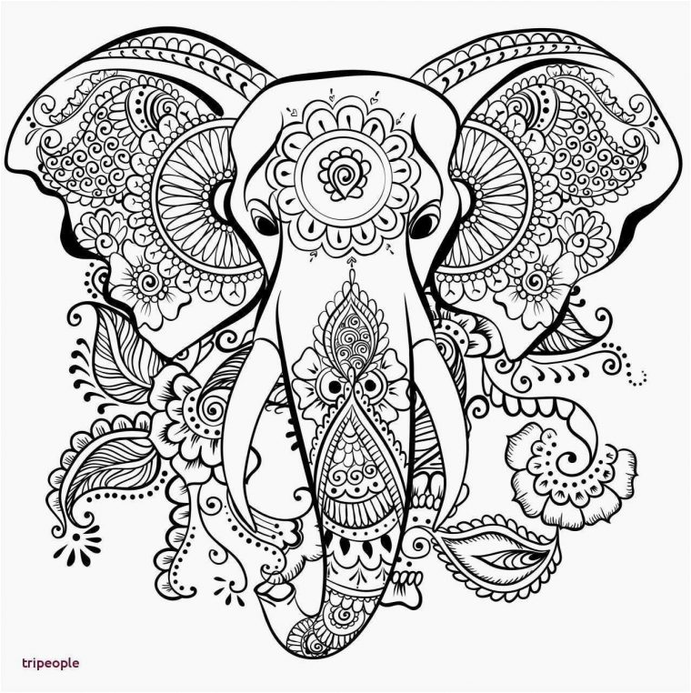 14 Localement Coloriage Mandala Tigre Gallery – Coloriage destiné Dessin A Colorier Facile Tigre 14 Localement Coloriage Mandala Tigre Gallery – Coloriage destiné Dessin A Colorier Facile Tigre