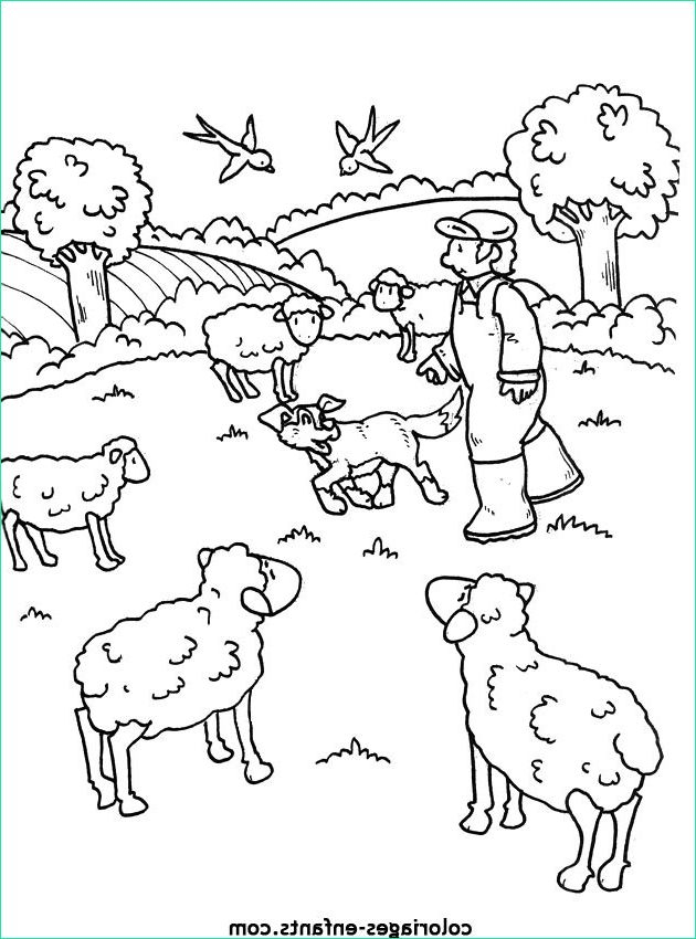 15 Cool De Coloriage Ferme Maternelle Images – Coloriage : Coloriage intérieur Coloriage Animaux Ferme Maternelle 15 Cool De Coloriage Ferme Maternelle Images – Coloriage : Coloriage intérieur Coloriage Animaux Ferme Maternelle