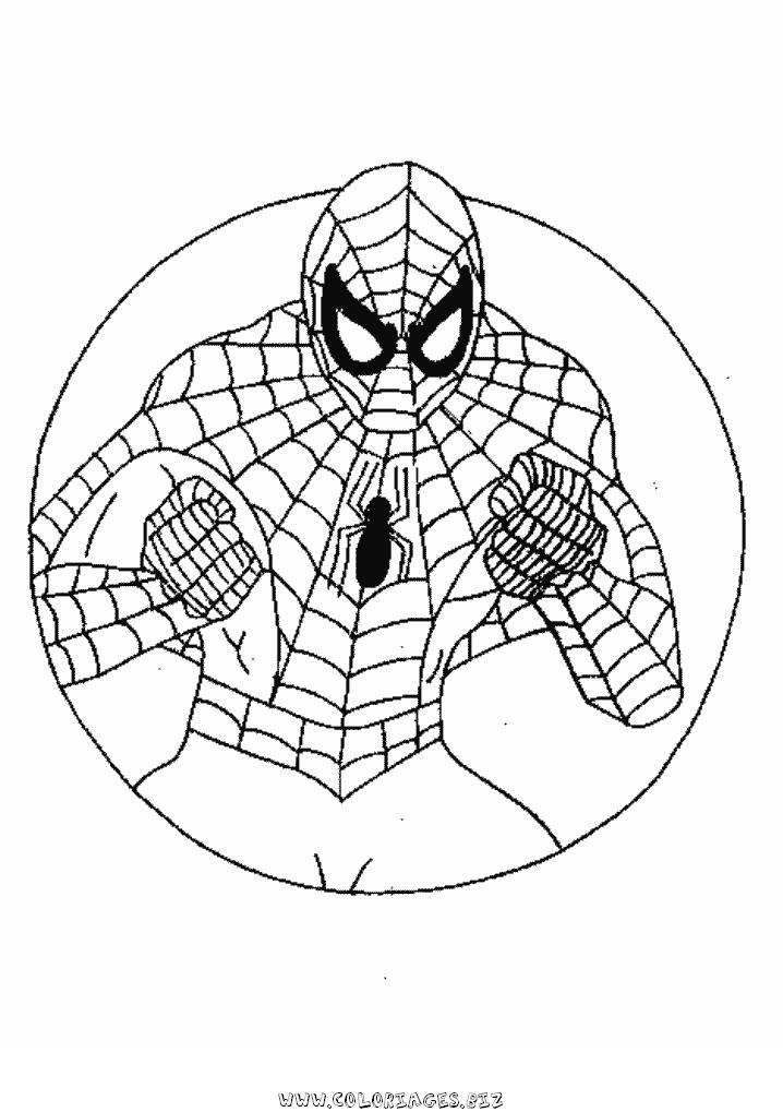 167 Dessins De Coloriage Spiderman À Imprimer Sur Laguerche – Page 12 tout Dessin Spiderman A Imprimer Et A Colorier