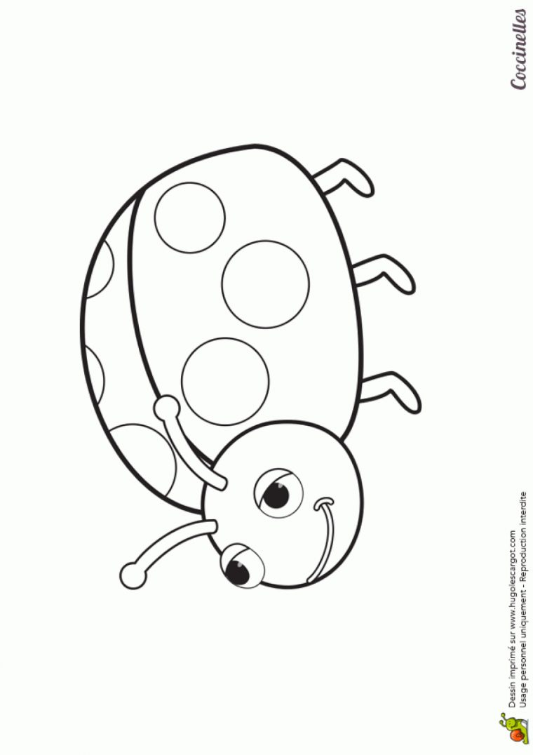 24 News Hd Logo Png 953: [Download 37+] Coloriage Coccinelle Maternelle à Coccinelle Coloriage Magique