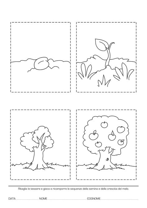 34 Meilleures Images Du Tableau Images Séquentielles En 2018 | Images concernant Image Sequentielle Graine 34 Meilleures Images Du Tableau Images Séquentielles En 2018 | Images concernant Image Sequentielle Graine