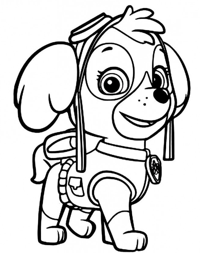 9 Beau De Dessin Pat Patrouille En Couleur Photographie - Coloriage avec Dessin A Colorier Facile Pat Patrouille