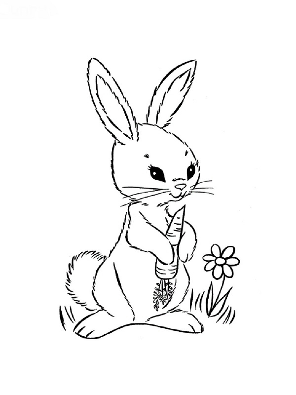 98 Dessins De Coloriage Animaux De La Foret À Imprimer destiné Coloriage Animaux Foret