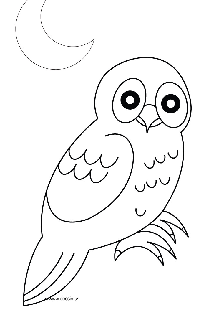 98 Dessins De Coloriage Animaux De La Foret À Imprimer encequiconcerne Coloriage Animaux Foret