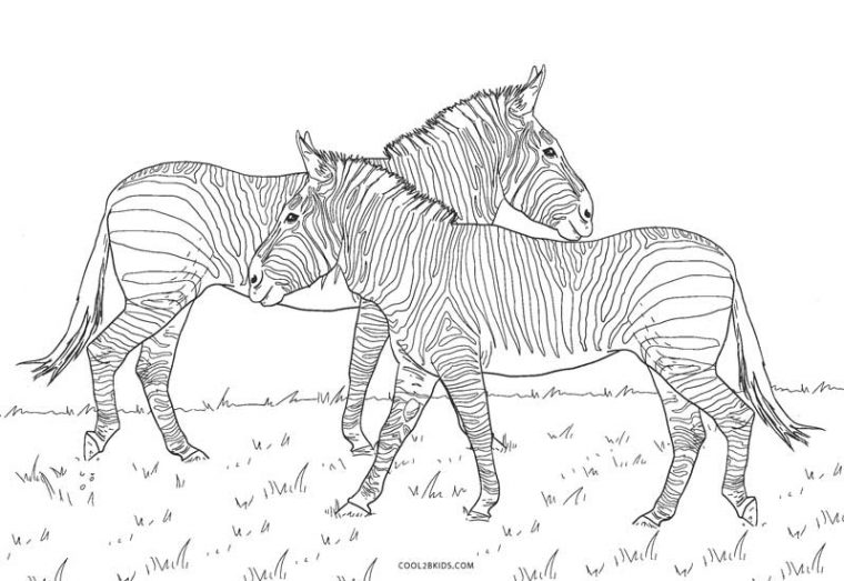 dessin a imprimer zebre