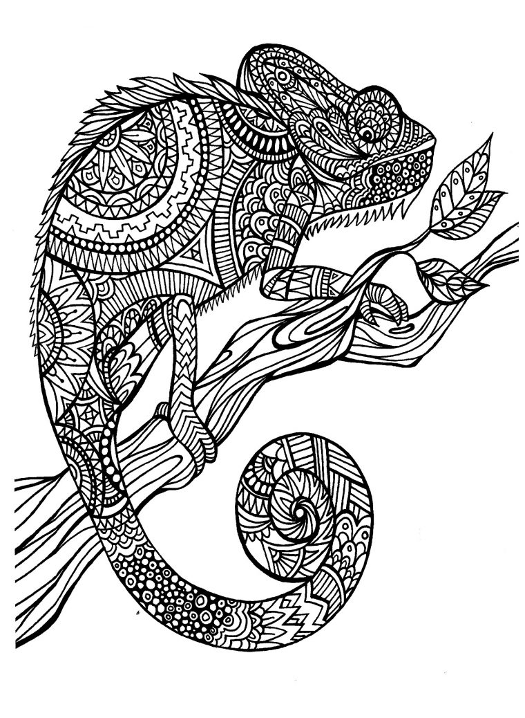 Animaux Cameleon – Caméléons Et Lézards – Coloriages Difficiles Pour tout Jeux De Coloriage De Mandala Pour Adulte Animaux Cameleon – Caméléons Et Lézards – Coloriages Difficiles Pour tout Jeux De Coloriage De Mandala Pour Adulte