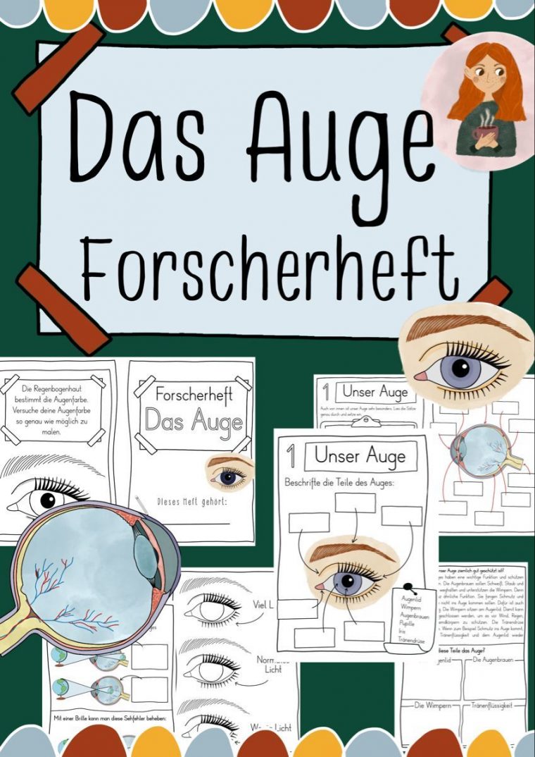 Arbeitsblatt Auge Klasse 9 – Carl Winslow Grundschule serapportantà Arbeitsblatt Bestandteile Des Auges