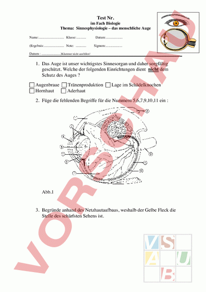 Arbeitsblatt: Das Auge - Biologie - Anatomie / Physiologie concernant Das Auge Klasse 7