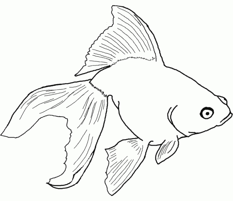 Ausmalbilder Für Kinder Aquariumfische 14 à Ausmalbilder Aquarium Kostenlos