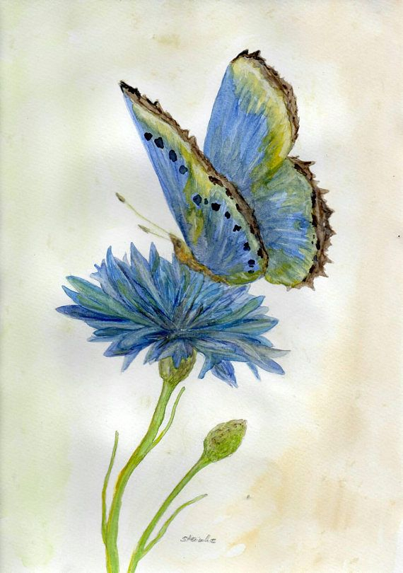 Butterfly On Cornflower Original Watercolorpainting | Aquarellmalerei dedans Malen Mit Wasserfarben Bilder