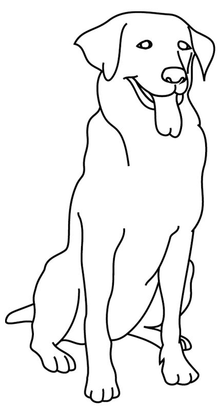 Coloriage À Imprimer : Un Chien, Le Golden Retriever – Turbulus, Jeux concernant Coloriage Animaux 6 Ans