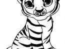 Coloriage Adorable Bebe Tigre Maternelle Dessin Tigre À Imprimer à Coloriage Sur Ordinateur En Ligne Gratuit