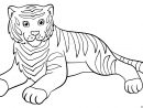 Coloriage Adorable Tigre Qui Se Repose Dessin Animaux De La Jungle À destiné Dessin De Tigre A Colorier Et A Imprimer