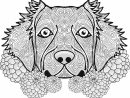 Coloriage Adulte Chien Dog Animal Dessin Adulte Animaux À Imprimer pour Dessin A Colorier Animaux