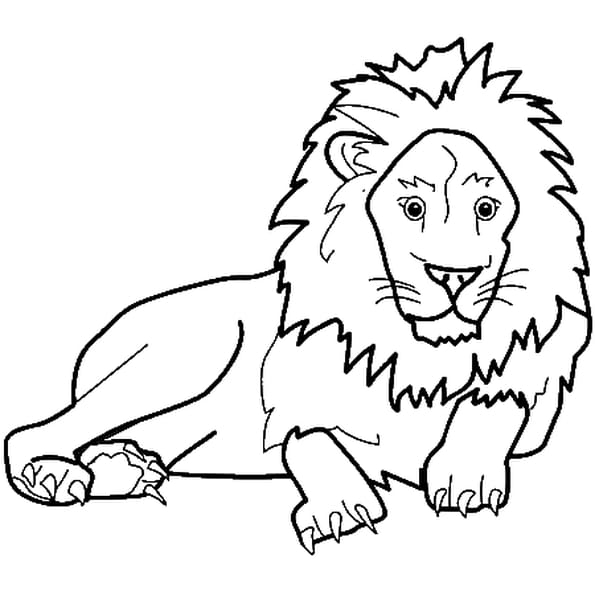 Coloriage Animaux Lion En Ligne Gratuit À Imprimer concernant Coloriage Animaux Domestiques À Imprimer Gratuit