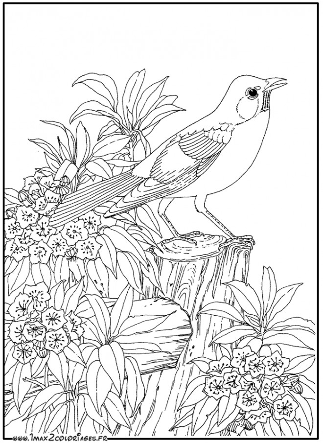 Coloriage Animaux Zen Facile Dessin Gratuit À Imprimer intérieur Dessin A Colorier Facile Coloriage Animaux Zen Facile Dessin Gratuit À Imprimer intérieur Dessin A Colorier Facile