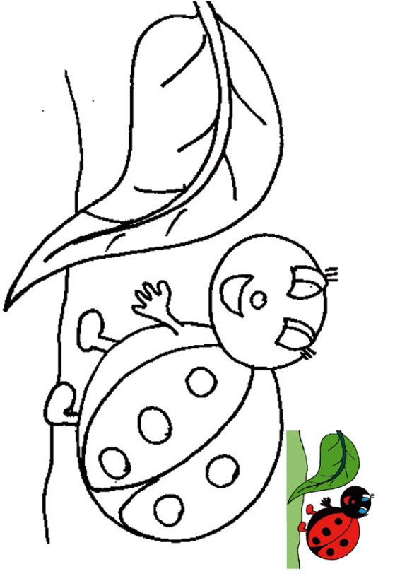 Coloriage Avec Modèle Pour Les Enfants De 2 À 4 Ans – A La Très Très tout Coloriage Animaux 3 Ans