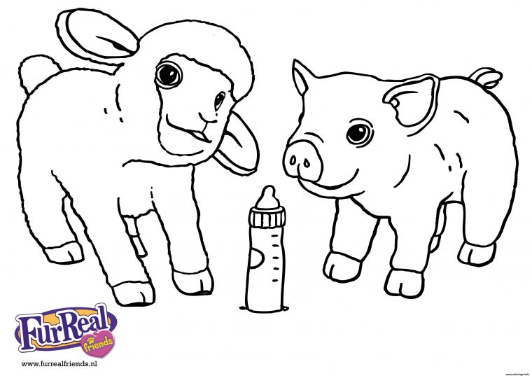 Coloriage Bebe Mouton Et Bebe Cochon Animaux De La Ferme Dessin Mouton tout Coloriage Animaux Ferme Maternelle Coloriage Bebe Mouton Et Bebe Cochon Animaux De La Ferme Dessin Mouton tout Coloriage Animaux Ferme Maternelle