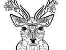 Coloriage Cerf Adulte Animaux Dessin Adulte Animaux À Imprimer intérieur Coloriage Animaux Gros Yeux
