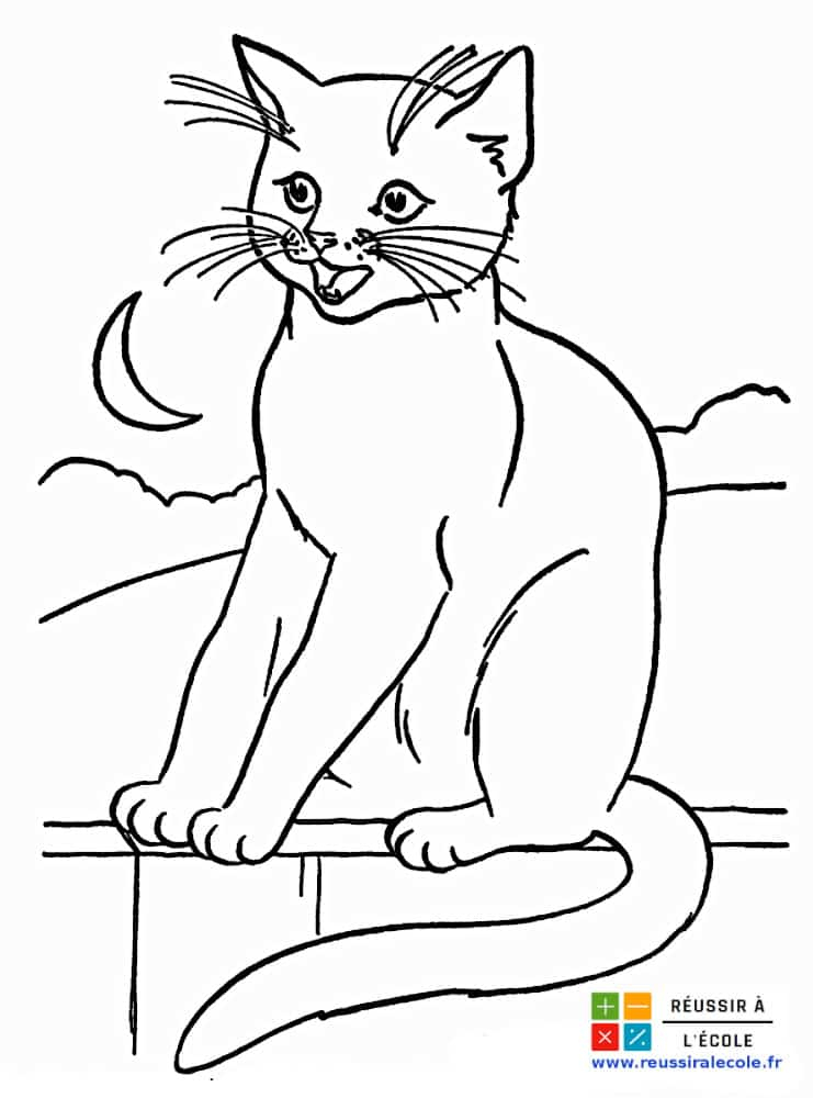 Coloriage Chat | 20 Images À Imprimer Et À Colorier Gratuitement pour Chat A Imprimer Gratuit