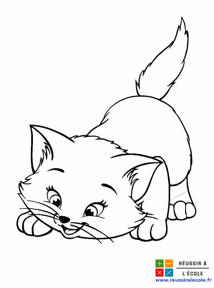 Coloriage Chat Gratuit | 20 Images À Imprimer Et À Colorier tout Chat A Imprimer Gratuit
