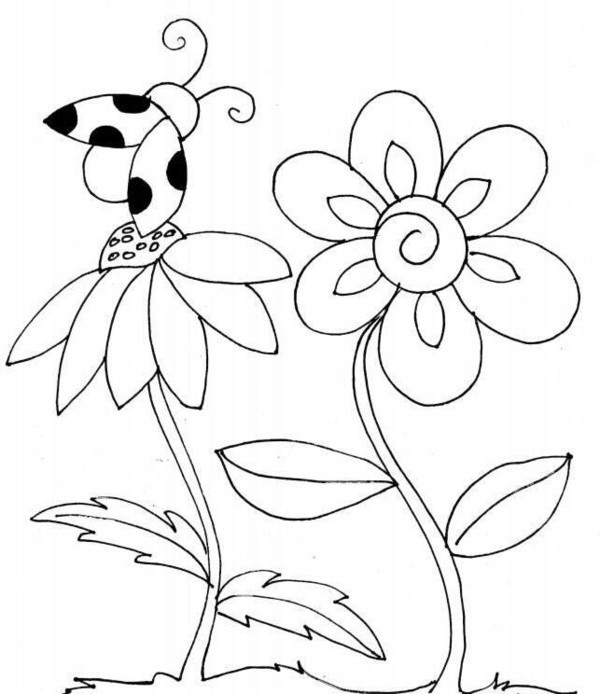 Coloriage Coccinelle – Dessin Et Coloriage avec Coccinelle Coloriage Magique Coloriage Coccinelle – Dessin Et Coloriage avec Coccinelle Coloriage Magique